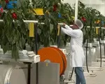 Trung Quốc kêu gọi doanh nghiệp, người tài hướng về nông thôn