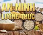 Mất an ninh lương thực đe dọa nhiều quốc gia Đông Nam Á