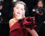 Amber Heard là một trong những gương mặt đẹp nhất thế giới