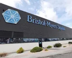 Bristol Myers đối mặt với vụ kiện 6,4 tỷ USD vì trì hoãn thuốc điều trị ung thư