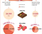 [INFOGRAPHIC] Niên vụ năm 2022, vải thiều được mùa