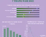 [INFOGRAPHIC] Bức tranh kinh tế Việt Nam 7 tháng năm 2022