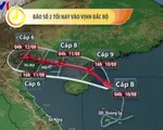 'Bão số 2 có cường độ phức tạp, gây mưa to đến rất to'