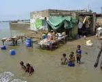 Nửa triệu người trở thành vô gia cư sau đợt lụt khiến 1/3 Pakistan chìm trong nước lũ