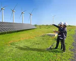 Điện gió Việt Nam hút nhà đầu tư ngoại