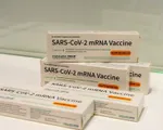 Vaccine COVID-19 công nghệ mRNA của Trung Quốc lần đầu tiên được cấp phép ở Indonesia