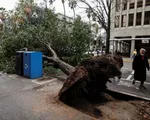 Bão nghiêm trọng càn quét California với mưa to, gió lớn gây lũ lụt