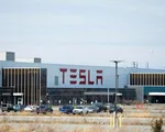 Tesla sa thải 4% nhân viên ở New York trước chiến dịch công đoàn