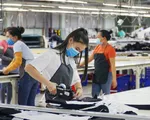 Hơn 20% doanh nghiệp tại TP Hồ Chí Minh có doanh thu tăng