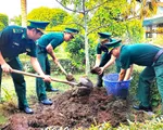 Cà Mau: Tết trồng cây, làm cho đất nước càng ngày thêm Xuân