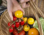 Siêu thị Anh bắt đầu giới hạn số lượng rau quả được mua