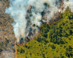Cháy rừng nghiêm trọng tiếp tục hoành hành ở miền Đông Cuba