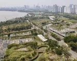 Ưu tiên gỡ vướng cho 116 dự án bất động sản ở TP Hồ Chí Minh