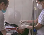 11 học sinh bị ngộ độc do ăn hạt quả ngô đồng
