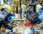 Kinh tế Việt Nam đang trên đà hồi phục