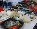 Rác... 30 năm tuổi trên bãi biển Australia