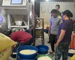 Phát hiện hộ kinh doanh gạo 'Séng cù xanh' nhuộm từ lá dứa