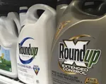 EU gia hạn 10 năm thời gian sử dụng thuốc diệt cỏ glyphosate