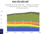 IEA: Nhu cầu nhiên liệu hóa thạch đạt đỉnh trong thập kỷ này