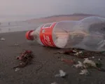 Coca-Cola, Danone và Nestle bị cáo buộc 'đánh lừa' về tuyên bố tái chế bao bì nhựa
