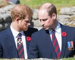 Hoàng tử Harry và William 'không có ý định hoà giải'