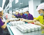 Doanh nghiệp Trung Quốc đánh giá cao môi trường đầu tư Việt Nam