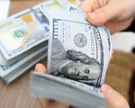 Khả năng đồng USD sẽ tiếp tục giảm cho đến năm 2024