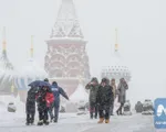 Tuyết rơi dày đặc bao phủ thủ đô Moscow của Nga