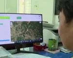 Giám sát bảo vệ rừng thông qua vệ tinh