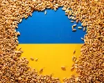 EU căng thẳng vì lệnh cấm ngũ cốc Ukraine