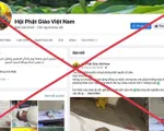 Giả mạo fanpage của Giáo hội Phật giáo để lừa đảo