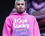 Chris Brown đối mặt với việc bị bắt nếu trở lại Vương quốc Anh