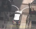 Người đàn ông bị bắt sau khi đâm xe vào cổng số 10 phố Downing