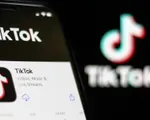 Kiểm tra toàn diện hoạt động của TikTok tại Việt Nam từ 15/5