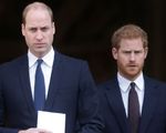 Mối quan hệ giữa anh em Hoàng tử Harry - William tiếp tục bị chú ý