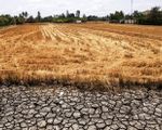 El Nino sẽ gây thiếu hụt mưa, hạn hán nhiều nơi trên cả nước