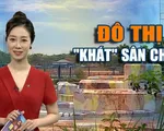 Đô thị 'khát' sân chơi: Nghỉ hè cho con chơi ở đâu?