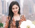 Rộ tin Angelababy có người yêu mới