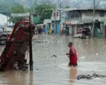 Lũ lụt, lở đất ở Haiti khiến hơn 40 người thiệt mạng, hàng nghìn người phải sơ tán