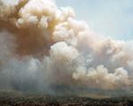 Cảnh báo sức khỏe đối với khu vực New York, Ottawa do khói cháy rừng từ Canada