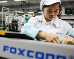 Foxconn rút khỏi dự án sản xuất chip 19,5 tỷ USD tại Ấn Độ