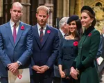 Công nương Kate được kì vọng hòa giải mối quan hệ anh em Hoàng tử Harry - William