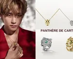 Website của Cartier gặp sự cố sau khi V (BTS) thành đại sứ thương hiệu