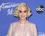 Katy Perry sẽ trở lại với 'American Idol' bất chấp khán giả phản đối