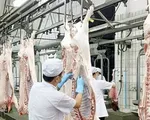 Sản lượng thịt lợn của Việt Nam đứng thứ 6 thế giới