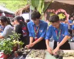Người trẻ tích cực tham gia các hoạt động tình nguyện hè