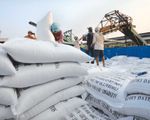 Đa dạng hóa thị trường xuất khẩu gạo