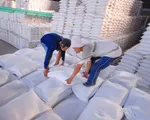 Giá gạo Việt tăng kỷ lục trong 2 năm