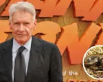 Tên của Harrison Ford được đặt cho loài rắn mới được tìm thấy ở dãy núi Andes của Peru