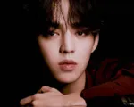 S.Coups (SEVENTEEN) nhập viện phẫu thuật gấp, tạm dừng mọi hoạt động